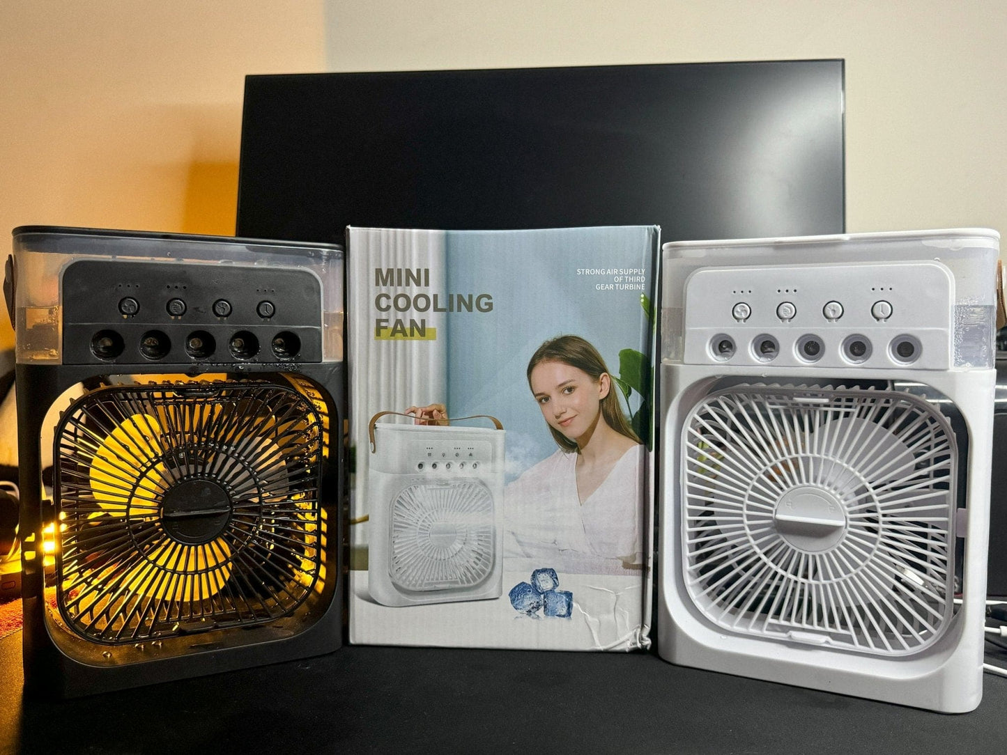 Table Fan with Humidifier